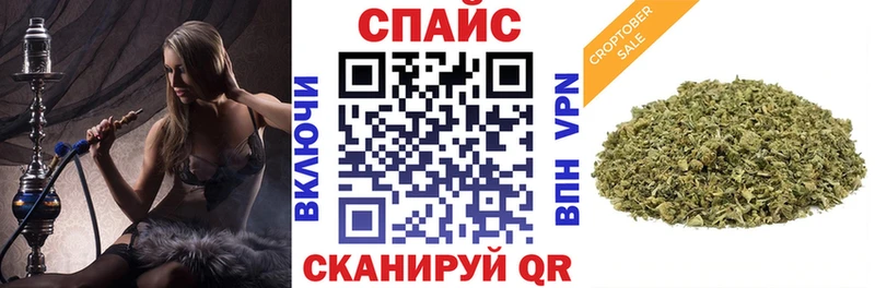 где купить наркоту  Петровск  БУТИРАТ 1.4BDO 