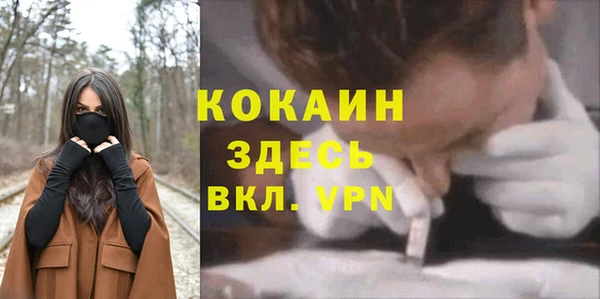 тгк Алексеевка