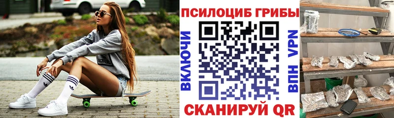 дарк нет какой сайт  MEGA сайт  Петровск  Псилоцибиновые грибы MAGIC MUSHROOMS 