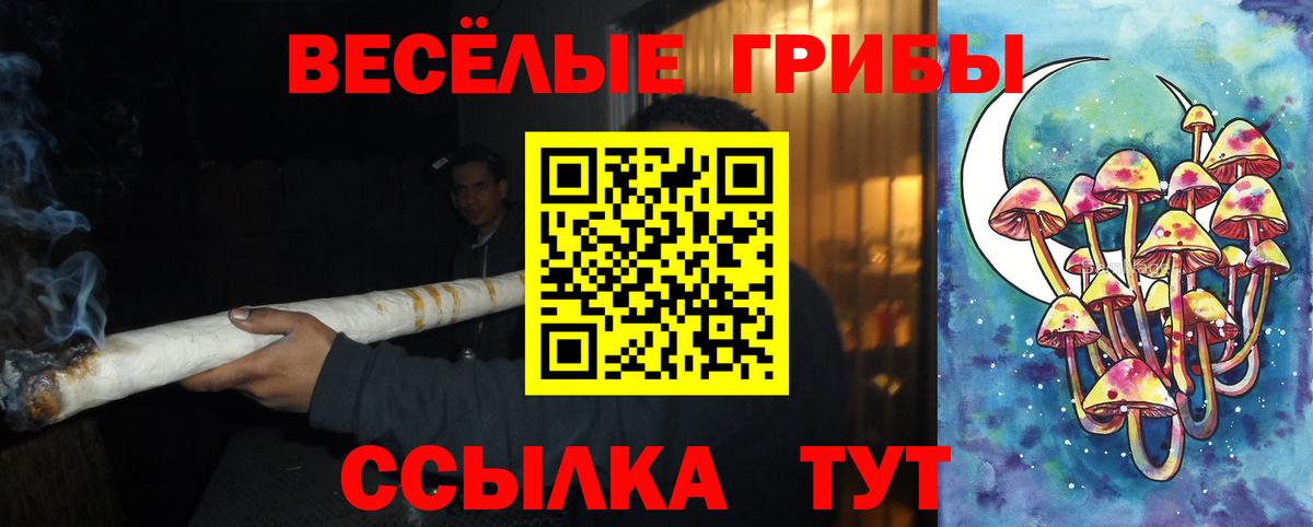 Петровск  Псилоцибиновые грибы Cubensis  Вход с VPN 