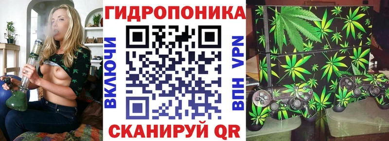 купить  сайты  Петровск  hydra ссылка  Конопля OG Kush 
