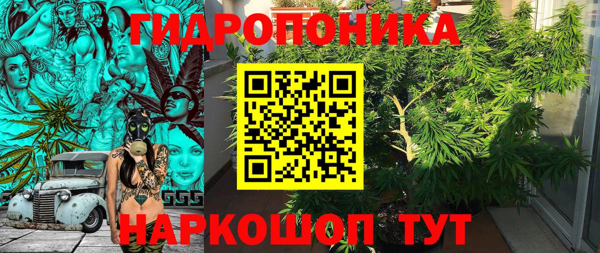 Марихуана Bruce Banner  Марихуана марихуана  Бошки марихуана MAZAR  Вход с VPN  Петровск  Бошки Шишки тримм 